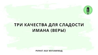 1537. Три качества для сладости имана (веры) || Ринат Абу Мухаммад