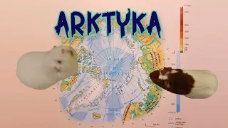 Arktyka - środowisko przyrodnicze. Różnice między Arktyką a Antarktyką (geografia - lekcja online)