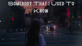 Somebody That I Used To Know - gotye (Kimbra) [dj biell remix]