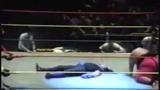 the undertaker vs yokozuna casket match