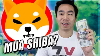 Thời điểm tốt nhất mua Shiba Inu? | Thinksmart Brother
