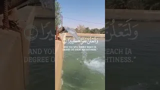 مصداقا لقوله تعالى 🤲