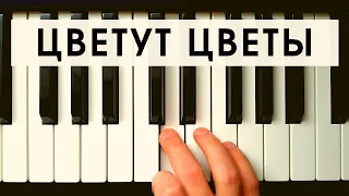 ТАНЦЫ МИНУС - ЦВЕТУТ ЦВЕТЫ (cover)