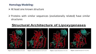 Computer-aided Drug Discovery and Structure-based Drug Design