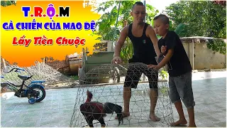 Màn Hoá Trang Bá Đạo Của Mao Đại Ca Khiến Mao Đệ Cũng Phải Chịu Thua