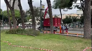 Genova, grosso albero cade davanti alla stazione di Brignole