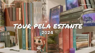 tour atualizado pela minha estante 2024📚 | +390 livros