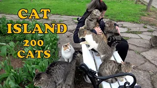 I can't imagine a world without cats. Let's visit the world of cats, namely the Cat Island.