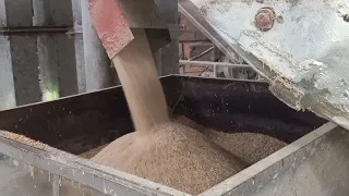 Rice Milling