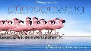 The Crimson Wing: Mystery of the Flamingos : The Dance