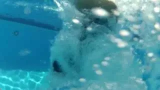 GoPro Pool Dive Underwater Video