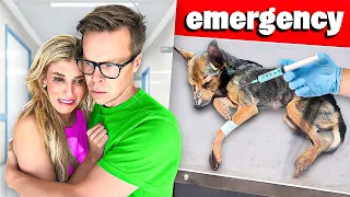 We Rushed Our Dog to the Emergency Room