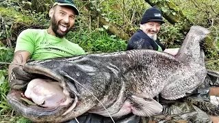 Incredible Huge Catfish tall 8,00 feet - 220 lbs VS little unstable Boat - HD by Catfishing World