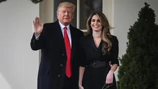 Hope Hicks on the Stand, How Much Stock Should We Put in Polling?  Political Analyst -Michael Shure