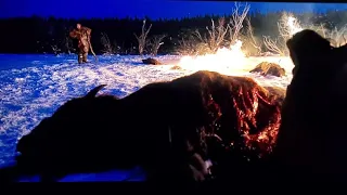 The Revenant- Bison Liver Scene