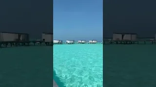 Maldives Travel Tiktok katpereira17