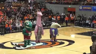 ZOOperstars Halftime at Pacific/Gonzaga Basketball Game