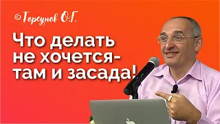 Что делать не хочешь - значит там и засада! Торсунов лекции Смотрите без рекламы!