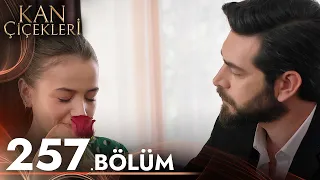 Kan Çiçekleri 257. Bölüm