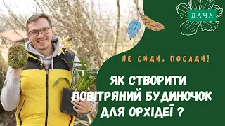 Як посадити орхідею? Створення повітряного будинку для орхідеї.