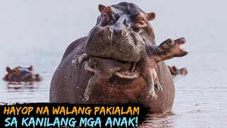 Mga hayop na walang pakialam sa kanilang mga anak!