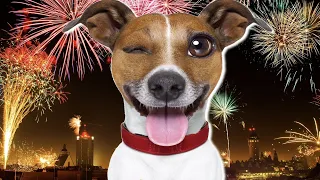 Sound Of Fireworks For Dogs