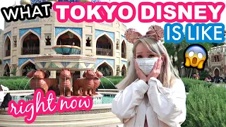 What TOKYO DISNEY SEA is Like Right Now... | Japan Vlog