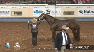 2021 AQHA Select 2-Year-Old Stallions