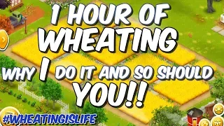 HAY DAY-1 Hour of WHEATING!! Harvest Wheat for Free Items to Upgrade Barn & Silo!!