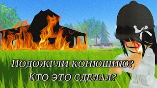 Я поменяла конюшню?/Полный обзор ЧКСК/wild horse islands roblox/RP/ VLOG