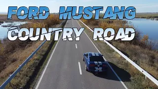Ford Mustang on Country Road - SQUID GAME: Pink Soldiers (Baris Cakir X Emre Kabak Remix) DJI mini2