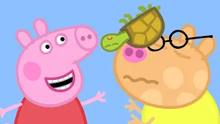 Peppa Pig Français 🐢 Titine La Tortue Tombe Sur Le Nez De Pedro | Dessin Animé Pour Bébé