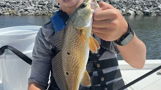 Fastest redfish ever Caught.￼