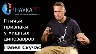 Птичьи признаки у хищных динозавров – палеонтолог Павел Скучас | Научпоп