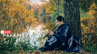 Pakari - Sweet sounds of native flute🍂