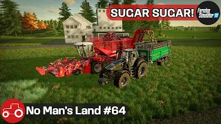 Harvesting Sugar Beets To Produce Sugar & Harvesting Sunflowers - No Man's Land #64 FS22 Timelapse