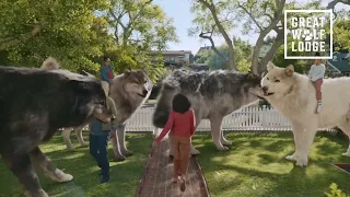 Great Wolf Lodge ~ Tourism ~ Family Holidays ~ Commercial Ad Creative # United States # 2022