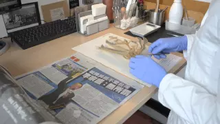 Mounting Herbarium specimens