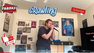 Linkin park-crawling/vocal cover 4k