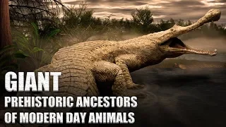 20 GIANT Ancient Ancestors of Modern Animals