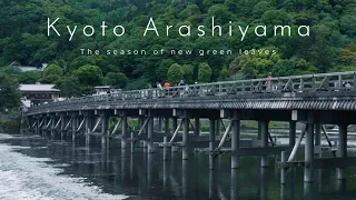 4K Cinematic Vlog : 嵐電で行く京都嵐山　1 Day trip to Kyoto Arashiyama on the Randen Tram Line