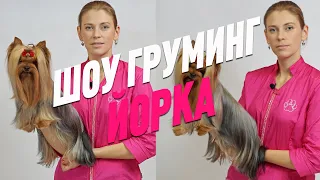 ШОУ ГРУМИНГ ЙОРКШИРСКОГО ТЕРЬЕРА / ГРУМИНГ ЙОРКА / GROOM SCHOOL