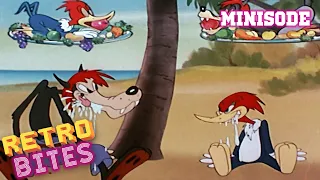 Fair Weather Fiends | Minisode | Woody Woodpecker | Lantz Cartoons | Retro Bites