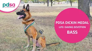 Multi-Purpose Canine Bass is Awarded the PDSA Dickin Medal