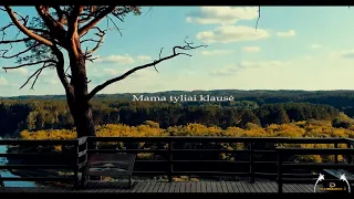 Mama tyliai klausė   "Shliub Dance 2"