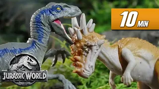 Jurassic Files Compilation | Jurassic World | Mattel Action!