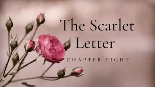 The Scarlet Letter Chapter 8 - Commentary