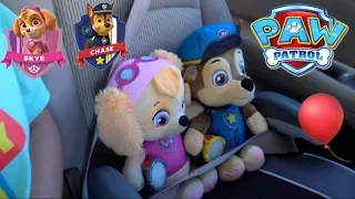 Paw Patrol Play Date W/Skye & Chase💕 |Kids Learning Video!