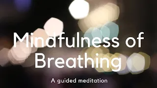 Mindfulness of Breathing - A guided meditation | Sraddhagita