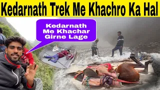 Kedarnath yatra 2024 || Trekking Problems😰 || एक बार जरूर देख लो